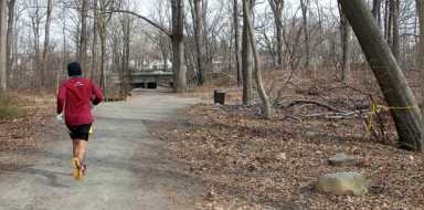 Legislators hope 14 cameras in Forest Park deter sex crimes