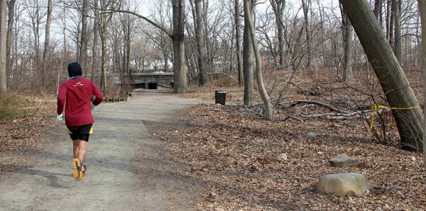 Legislators hope 14 cameras in Forest Park deter sex crimes