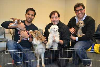 Queens College Puppy Room