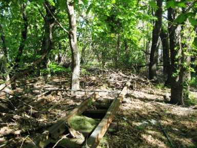Rail line