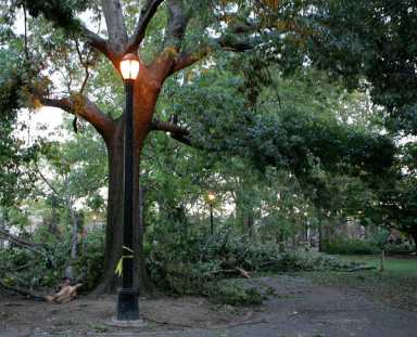 Woodhaven park manager abused relative: Cops