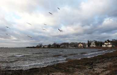 Pols earmark $5.85M for Sandy repairs in Rockaway schools