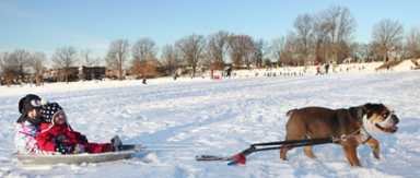 Sled riders head to Juniper Park