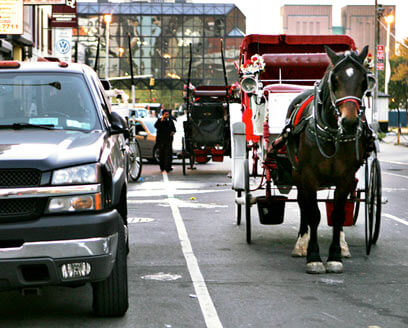 Borough carriage drivers fear for jobs