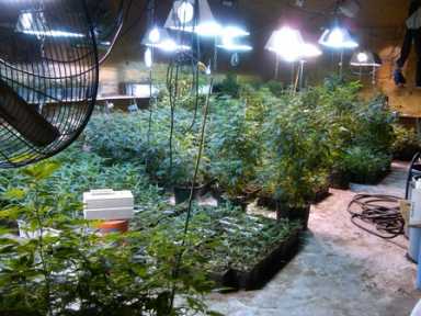 pot