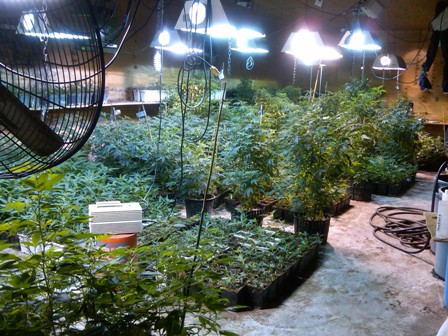 pot