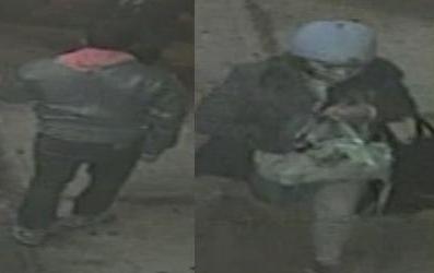 suspects