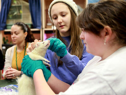 Vets in training learn animal care skills at Alley Pond