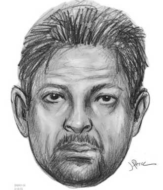 Suspect sketch