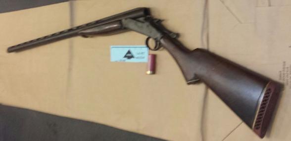 114 Pct Suspect shotgun