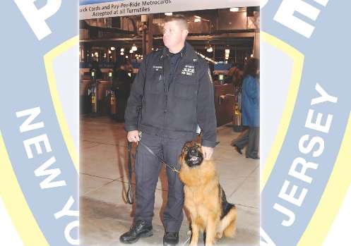 PAPD Wall Calendar 2014 canines A2