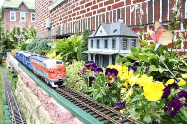 TRAIN-PICTURE