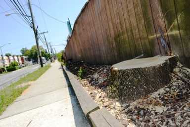 Arborcide