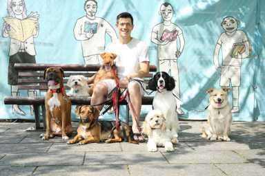 LIC Dog Walker