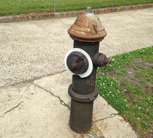 White Circle Hydrant