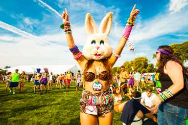 Electric Zoo's organizers are trying to raise drug awareness after last year's two drug related deaths at the electric music festival.