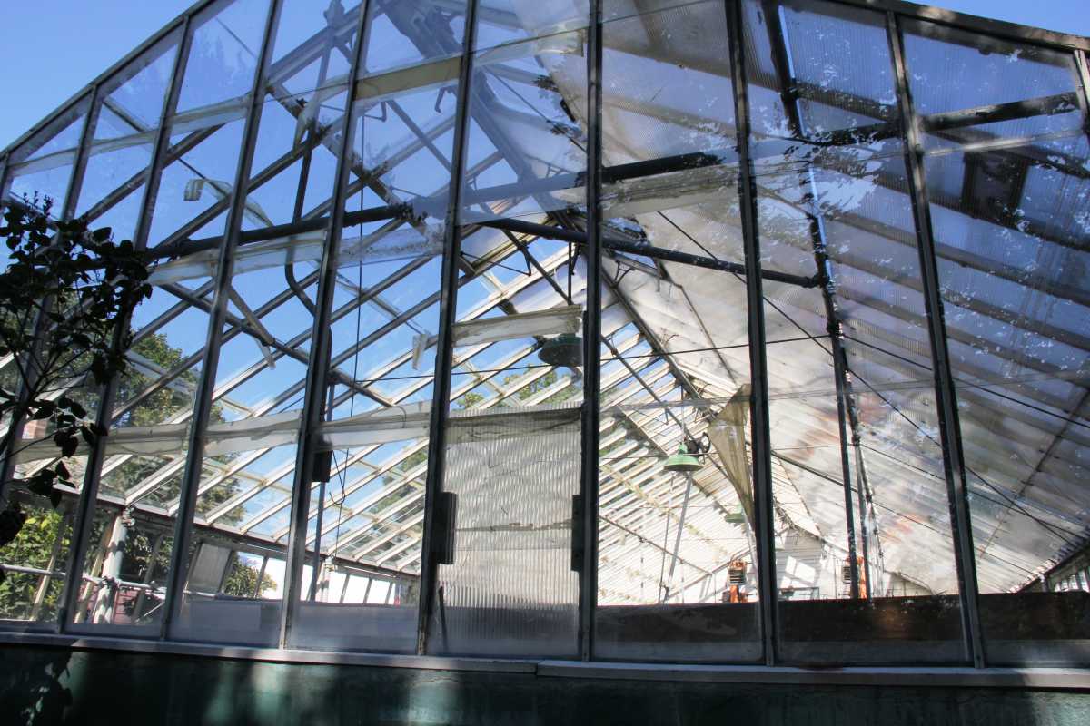 This greenhouse has glass panels that are being held by tape, while other missing panels are patched with plastic