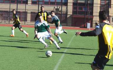shamrocks action 008