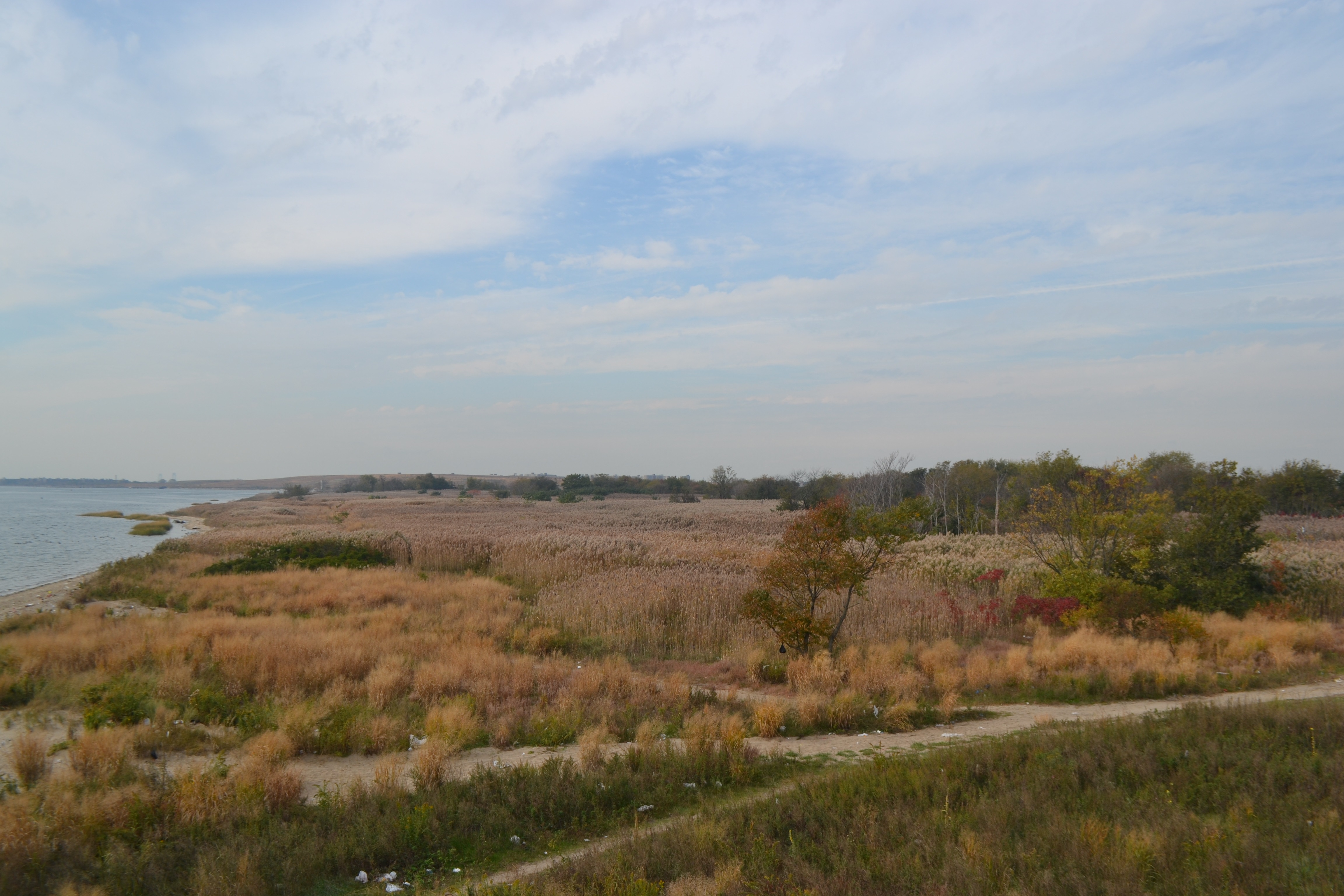 spring creek