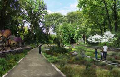 Clearing_Habitat