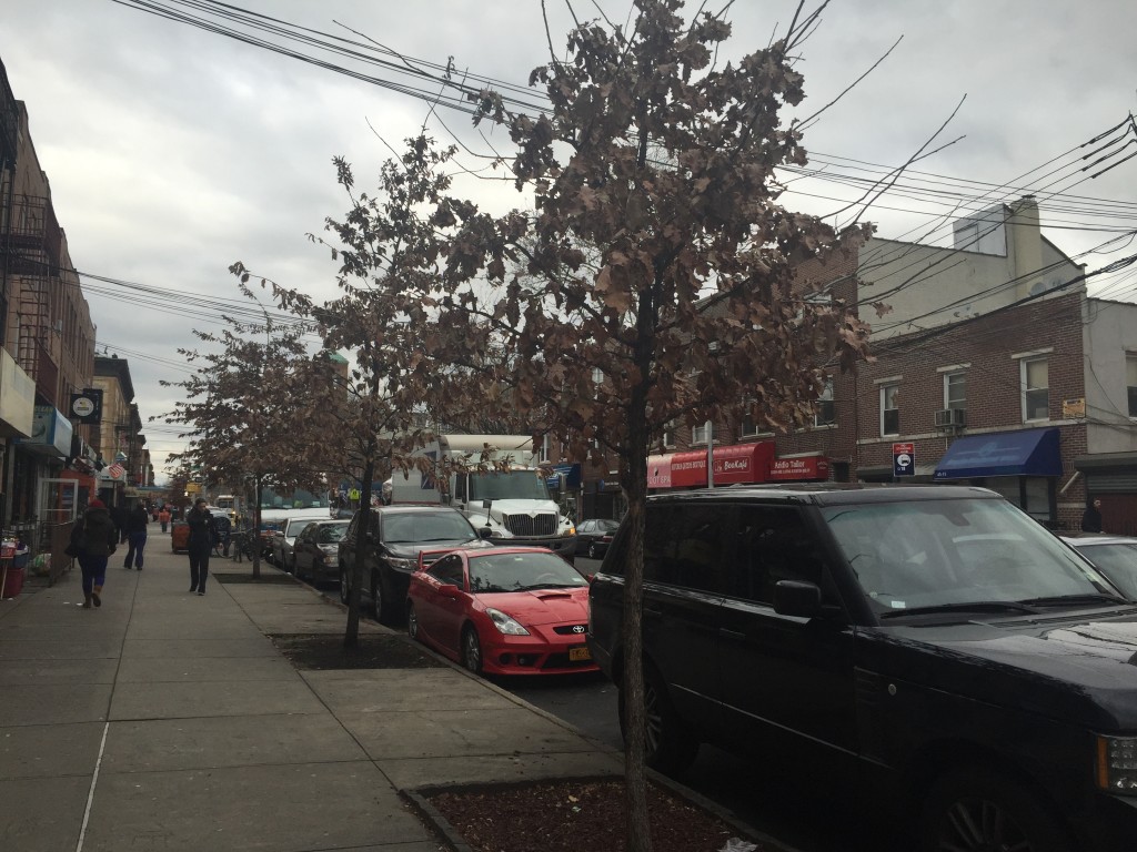 Western Queens communities, such as Astoria, have been getting greener these past four years.