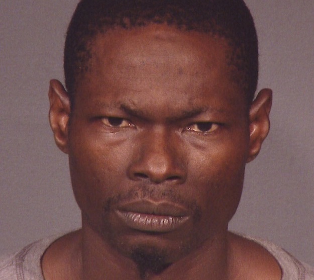 168-15 100 PDU Homicide 1-21-15 (1)