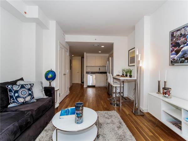 Forest Hills studio