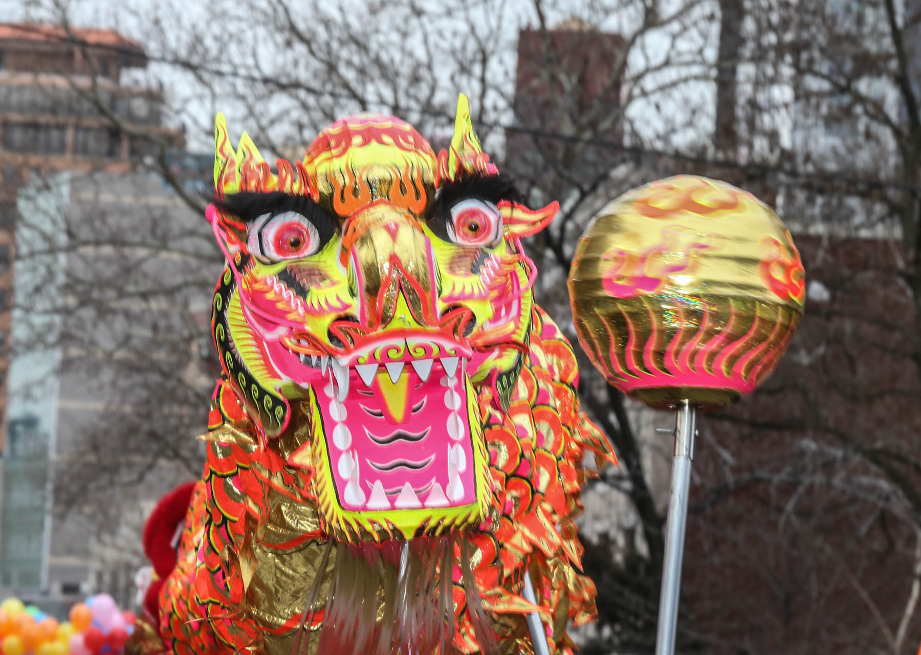 Photos: Lunar New Year turns Flushing into a sea of color ...