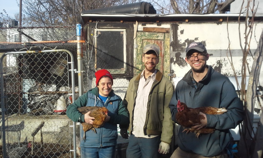 Manager Anna Poaster, Hellgate Farm Founder Rob McGrath, and intern Eric Dittmore. (Photo by Paul Miller)
