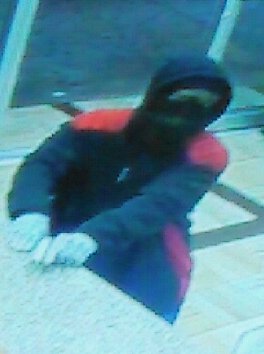1366-15 Robbery 101 pct Suspect Photo