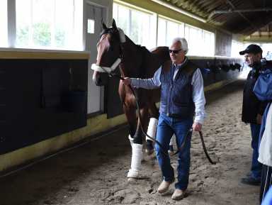 American Pharoah Arrival11