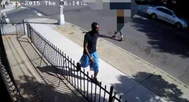attempted rapist