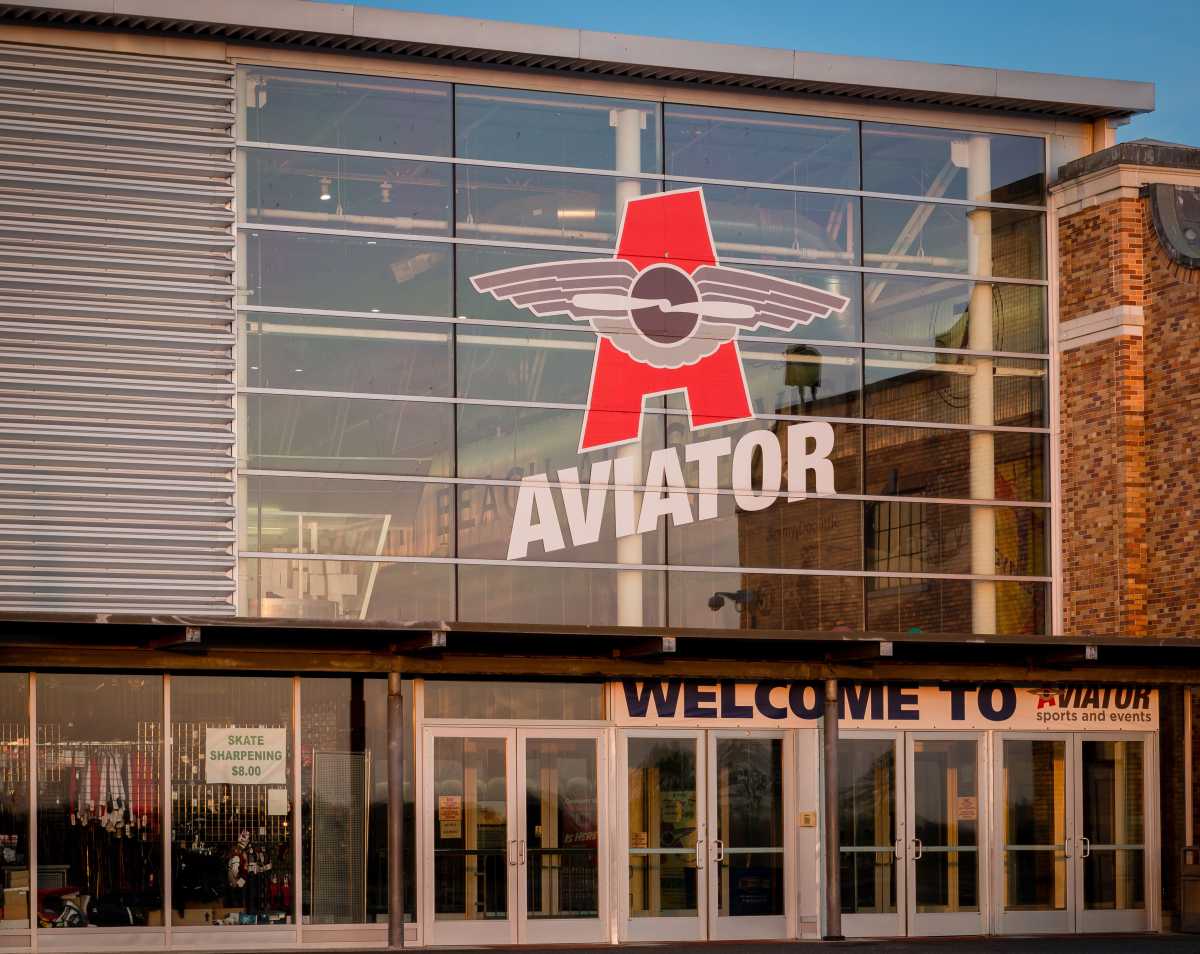 Aviator2