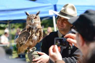 DA4_0492_10-05-14 Raptor Fest