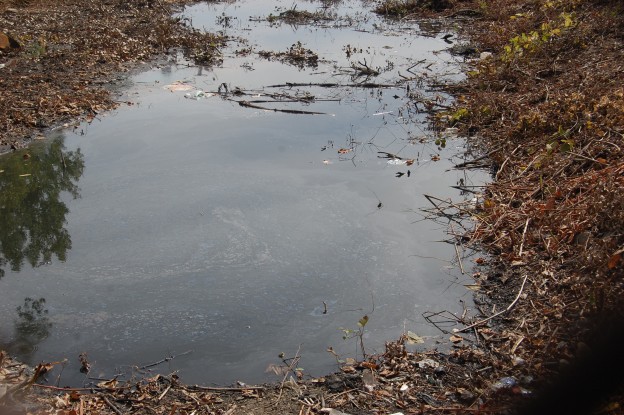 A puddle at the College Point Corporate Park with a rainbow-colored sheen due to chemical contamination.