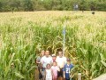 The Amazing Maize Maze at the Queens County Farm Museum.