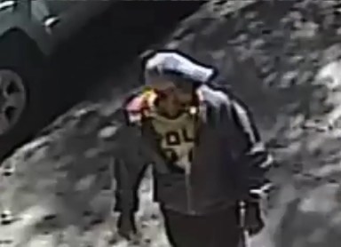 Police are looking for this man they say attempted to steal a phone from a woman at a Sunnyside subway station.
