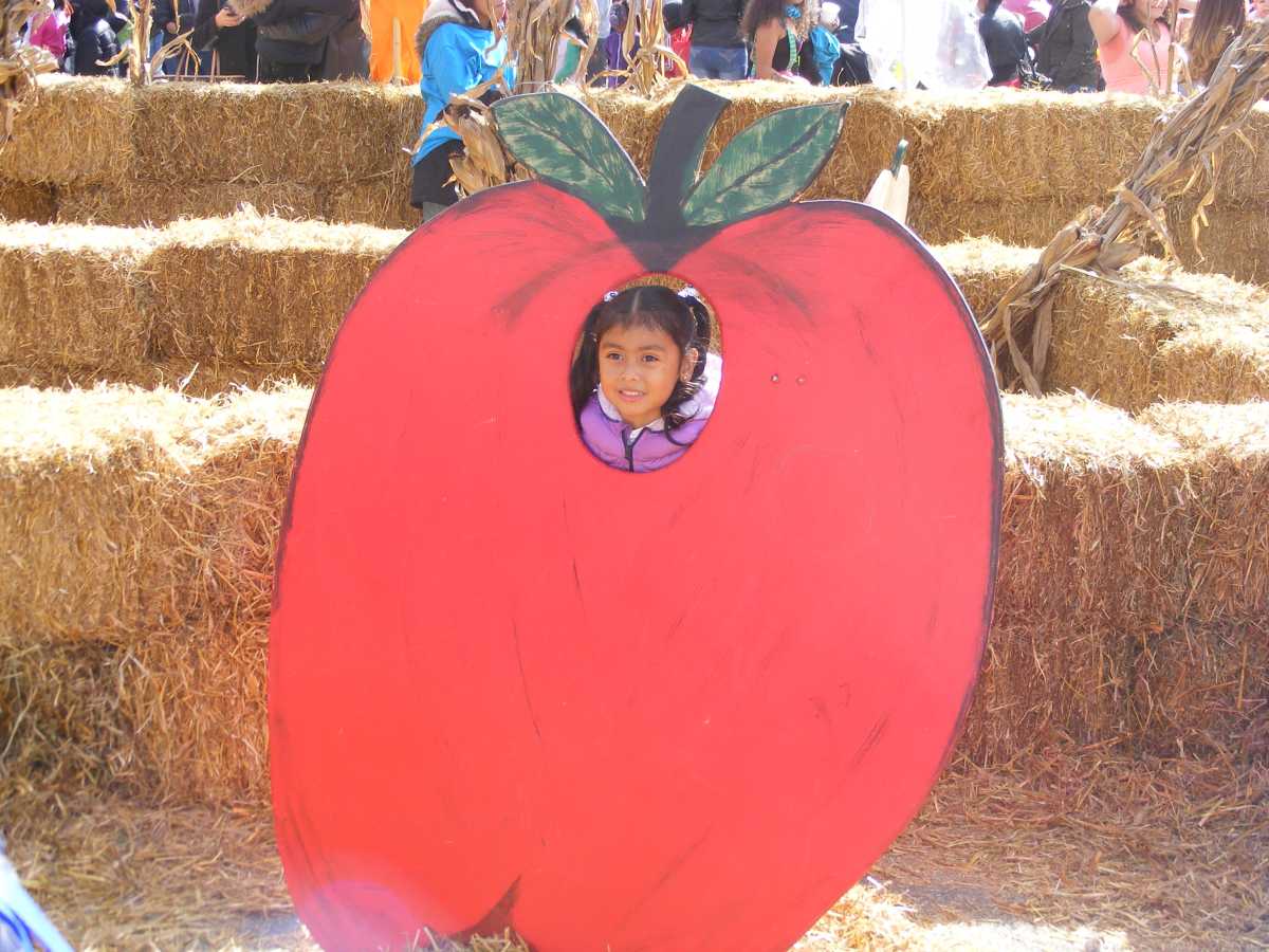 Children of all ages enjoyed a wonderful time at Saturday's Forest Park fall festival.
