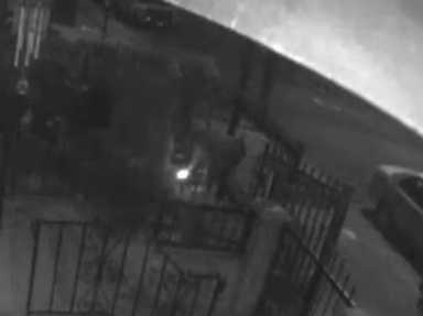 An arsonist set fire to Hindu prayer flags in front of a Woodhaven home on Thursday.