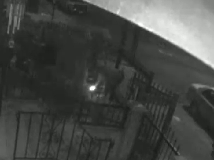 An arsonist set fire to Hindu prayer flags in front of a Woodhaven home on Thursday.