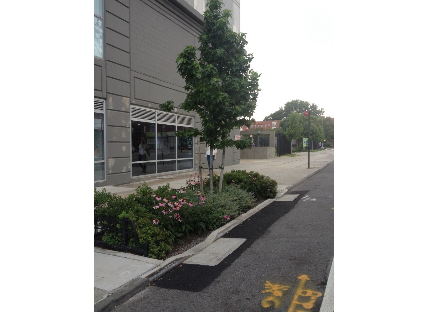 NYCDEP has released the locations of over 300 bioswales.