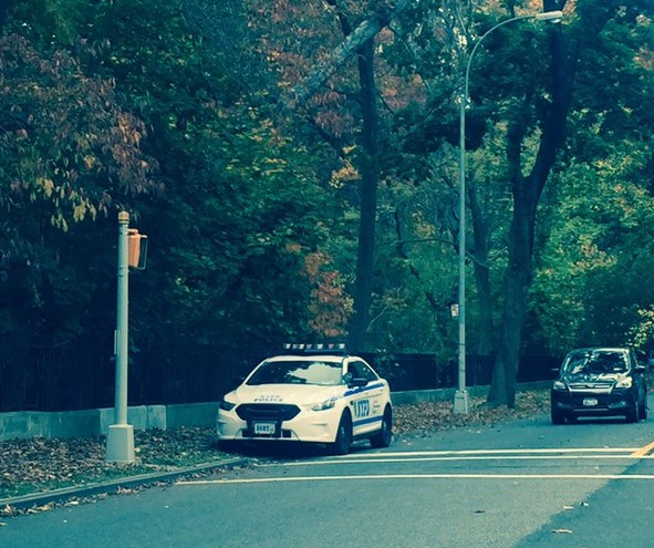 A police car stationed on Myrtle Avenue in Forest Park Saturday afternoon after a body was found in the park earlier that morning.