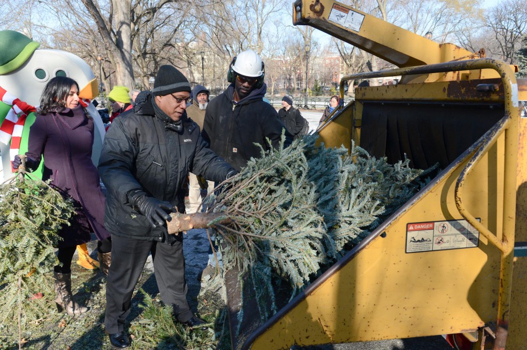 A tree is chipped during the 2015 Mulchfest at Jackson Heights' Travers Park.