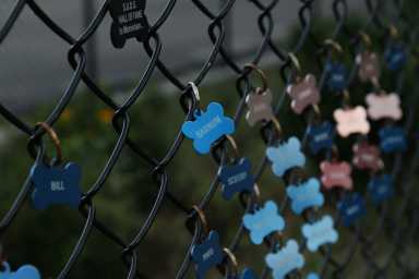 Memorial tags for SUDS dogs in Lou Lodati Park in Sunnyside.