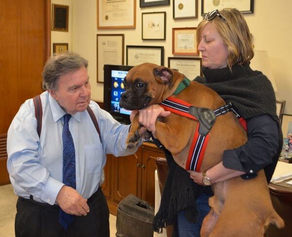 Ridgewood dog abuser convicted of cruelty: DA