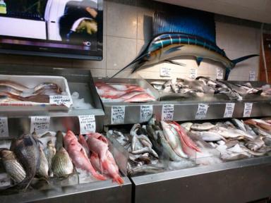 Catch the freshest fish at Astoria Seafood