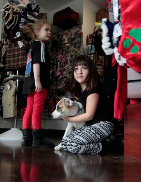 Bayside pets get vaccinated