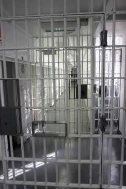 Wills introduces bill to combat gang violence