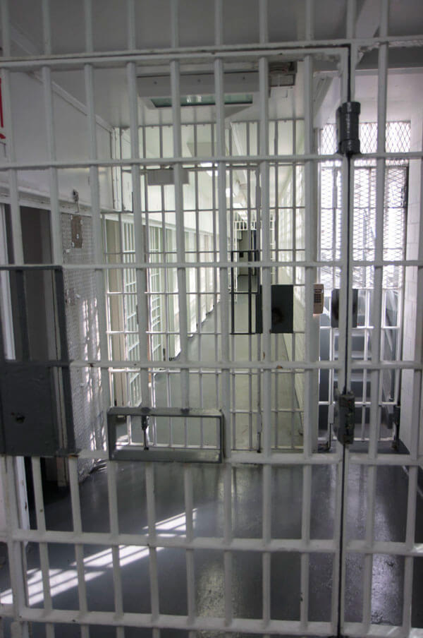 Wills introduces bill to combat gang violence