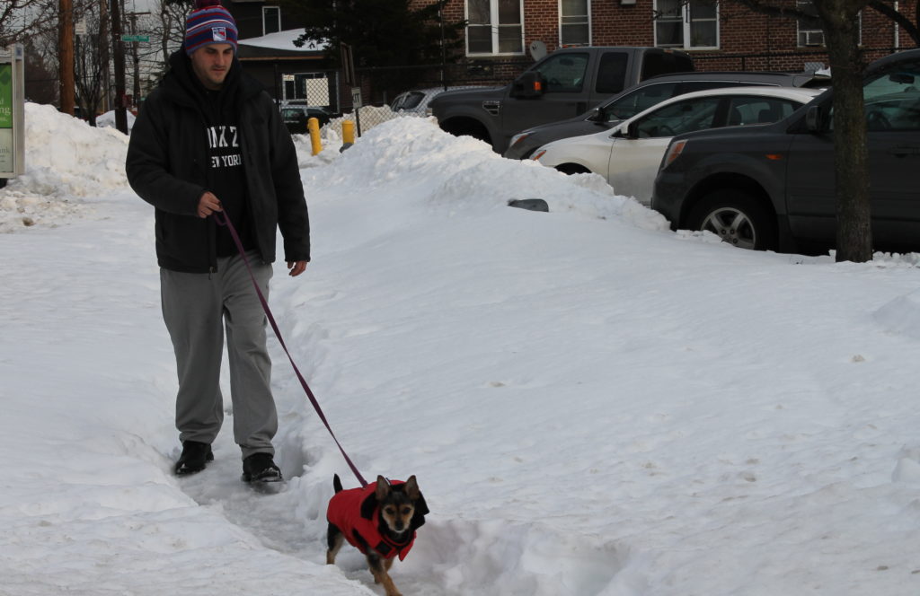A young man walks his dog through mounds of snow in Bayside.
